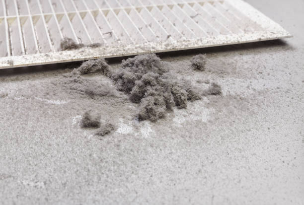 Best Air Duct Cleaning Near Me  in New Haven, WV