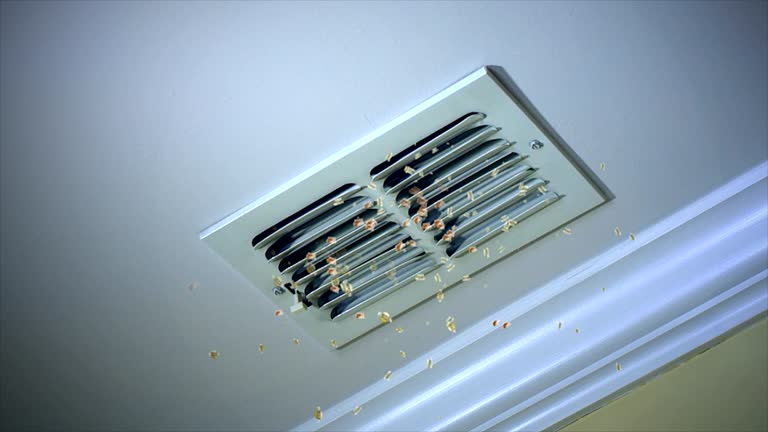 Best HVAC System Cleaning  in New Haven, WV