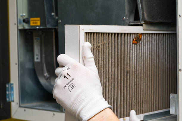 Best Ductwork Cleaning Services  in New Haven, WV