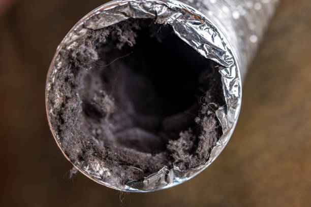 Best Affordable Duct Cleaning Services  in New Haven, WV