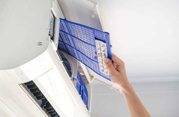 Air Duct Mold Removal in WV